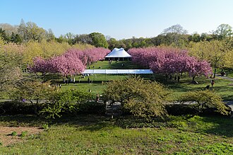Eastridge Community Garden